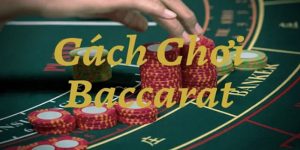 Hướng dẫn newbie cách đánh bài Baccarat cơ bản nhất