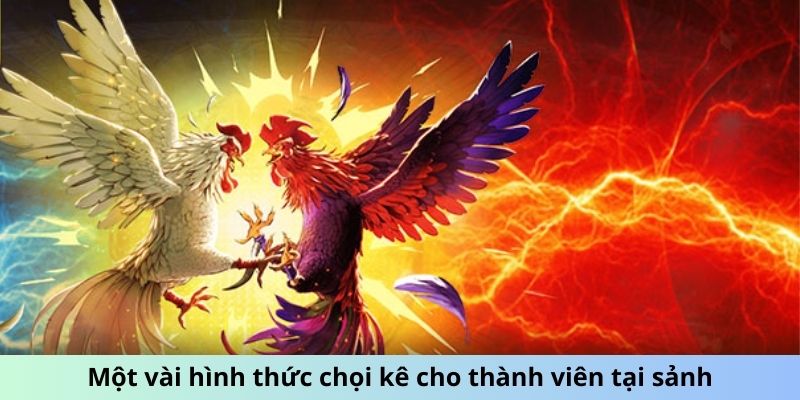 Một vài hình thức chọi kê cho thành viên tại sảnh