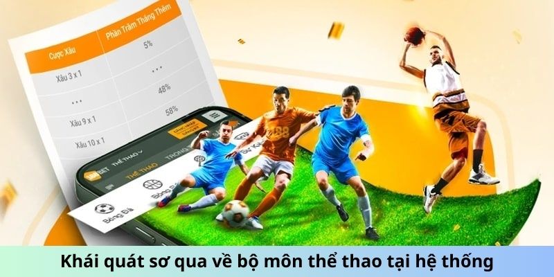 Khái quát sơ qua về bộ môn thể thao tại hệ thống