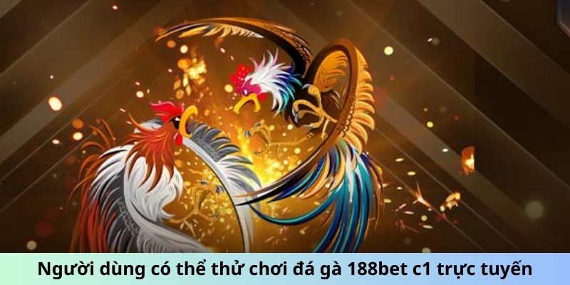 Người dùng có thể thử chơi đá gà 188bet c1 trực tuyến